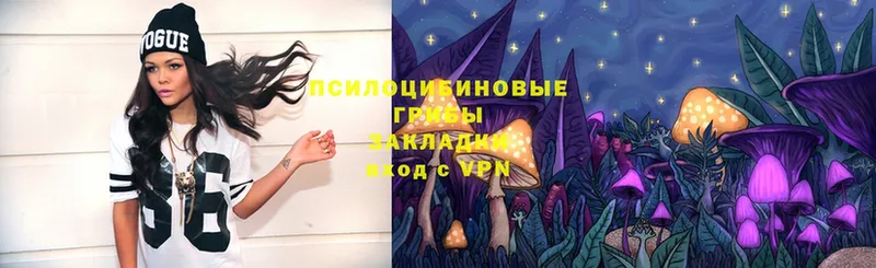 hydra вход  Подпорожье  Псилоцибиновые грибы Magic Shrooms  купить наркоту 